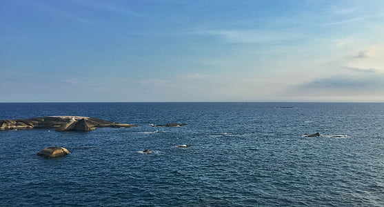 body of water under blue sky thumbnail