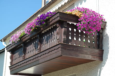 brown false balcony full with petaled flowers thumbnail
