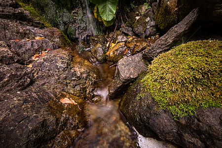 Brown Stone With Green Grass thumbnail