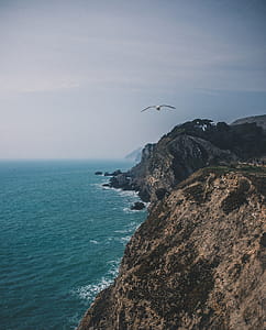 Aerial Photography of Beach Shore thumbnail