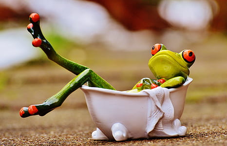 shallow focus photography of green frog thumbnail