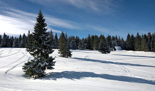 snow ski course thumbnail