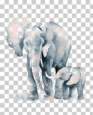Watercolor painting African elephant Drawing, Elephant, two gray elephants painting PNG clipart