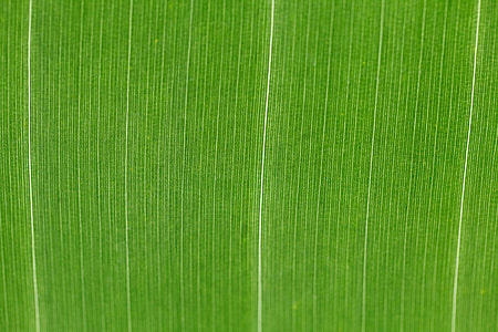 green textile thumbnail