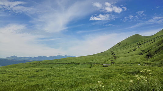 green grass lawn during daytime thumbnail