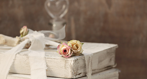 pink and white rose flowers top of white book thumbnail
