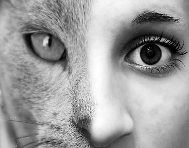 photo of a woman and a cat thumbnail