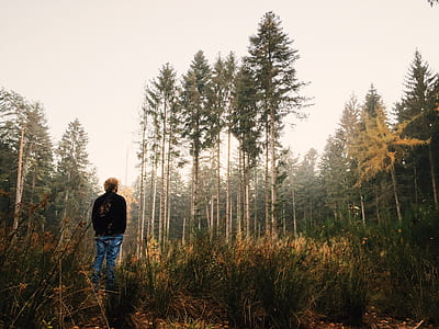 photo of person standing alone at forest thumbnail