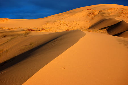 desert field during daytime thumbnail