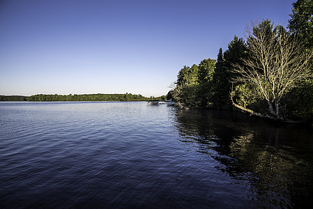 Shoreline and trees in Chequamegon National Forest, Wisconsin thumbnail