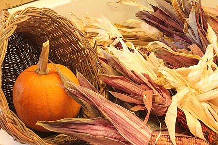 pumpkin on brown basket thumbnail