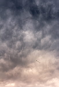 four flying birds under gray and white cloudy sky during daytime thumbnail