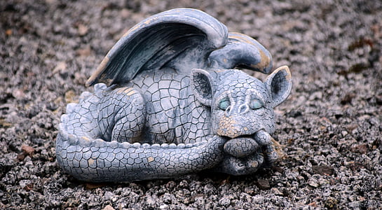 selective focus photography of gray dragon thumbnail