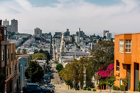 landscape photo of city buildings thumbnail