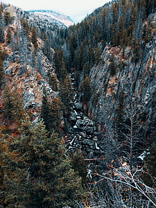 trees on mountains covered with snow thumbnail