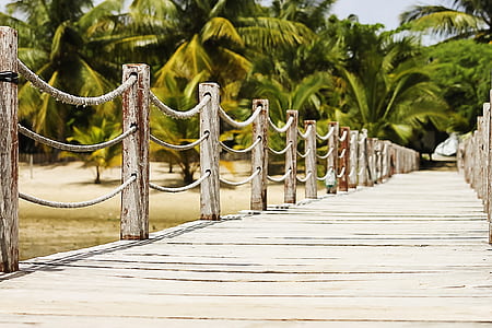 brown wooden pier in a beach thumbnail