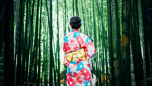woman standing in bamboo forest thumbnail