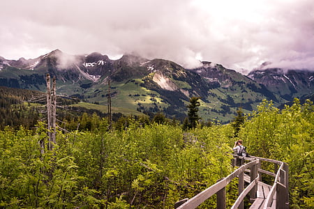 person walking on gray wooden bridge between forest thumbnail