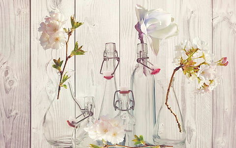 white petaled flowers on clear glass bottles thumbnail