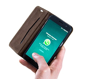 person holding phone displaying WhatsApp messenger thumbnail