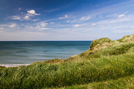 landscape photography on green grass near seashore during day time thumbnail