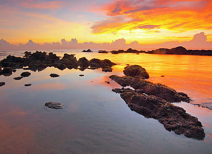 Seashore during Sunset thumbnail