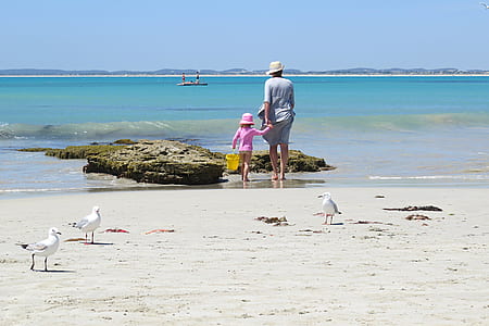 three white seagulls standing on seashore thumbnail