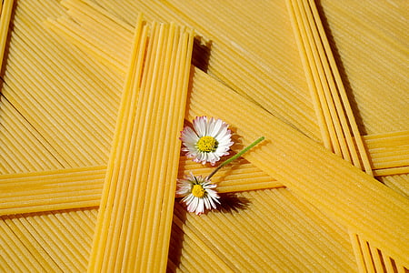 two white daisy flowers thumbnail