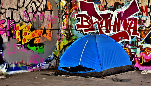 blue and black camping tent beside the wall full of graffiti thumbnail