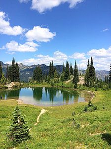 Pond and landscape under blue skies in Mount Rainier National Park, Washington thumbnail
