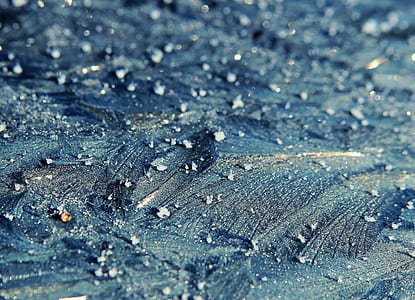 shallow focus photography of leaf thumbnail