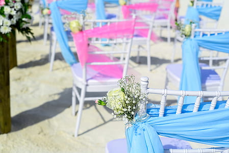 sunny, flowers, blue, blur thumbnail