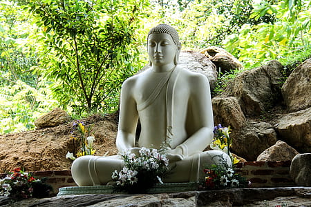 white Buddha statue during daytime thumbnail