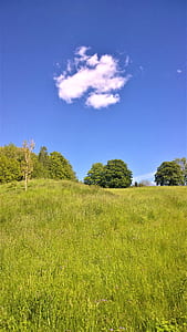 green grass field in clouds thumbnail