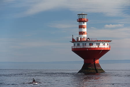 white and red lighthouse in calm sea body of water during daytime thumbnail