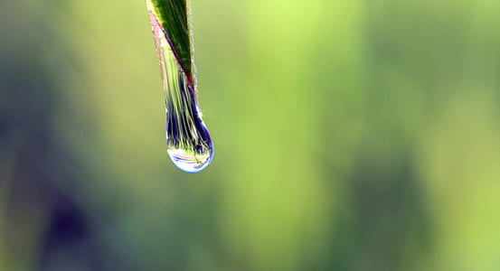 water drop close-up photo thumbnail