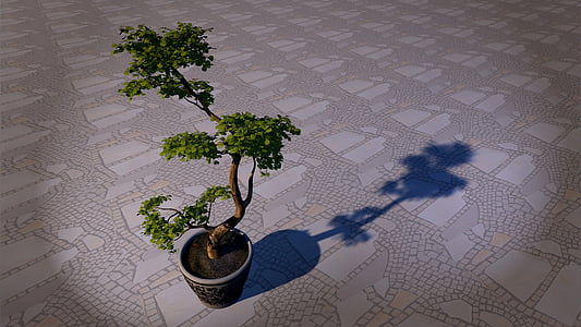 green bonsai with pot on the floor thumbnail