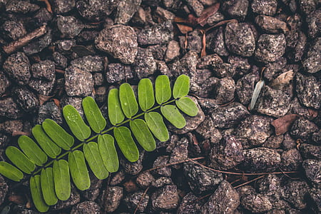 rocks, pattern, texture, abstract thumbnail