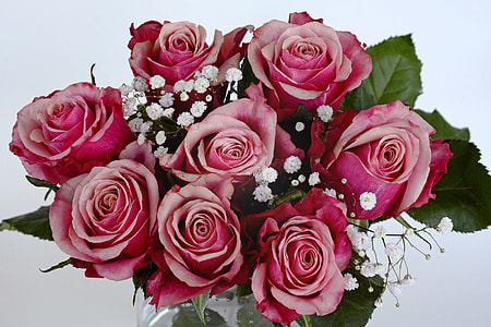 bouquet of pink roses thumbnail