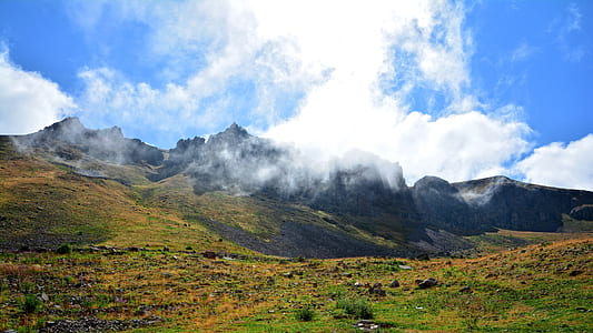 green grasses with mountain in vicinity thumbnail