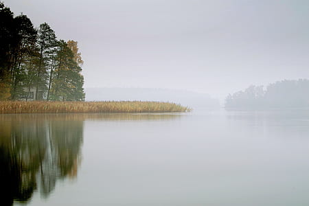green tree near lake mirror photography thumbnail