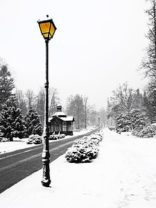 black lamp post covered with snow thumbnail