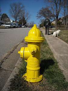 yellow fire hydrant under blue sky thumbnail