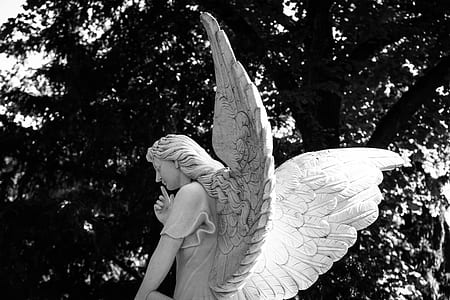 gray angel concrete statue thumbnail