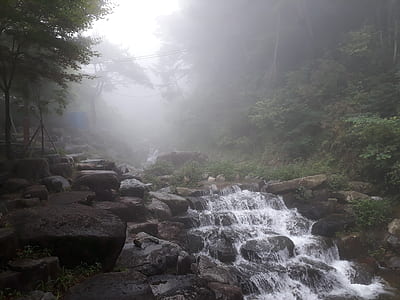 stream in forest thumbnail