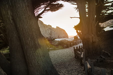 fence beside seashore thumbnail