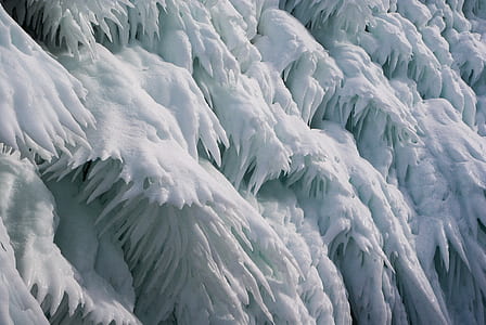 snow covered trees thumbnail