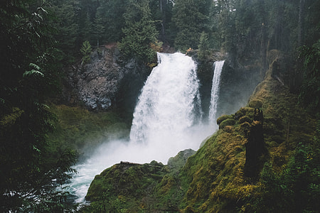 waterfalls surround trees thumbnail