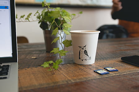 black owl-printed cup beside green leaf vine thumbnail