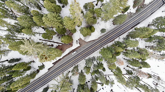 aerial view of asphalt road surrounded by trees thumbnail